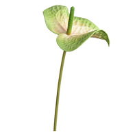 Kunstmatige EVA Anthurium Foam Bloemen Woonkamer Decoratie Kunstmatige Palm Bloem Bruiloft Decoratie Bloemstuk Accessoires