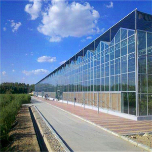 Invernadero Económico de Acero Galvanizado en Caliente de Gran Tamaño y Múltiples Tramos con Vidrio Templado para <span class=keywords><strong>Agricultura</strong></span> Hidropónica - Product Image 2
