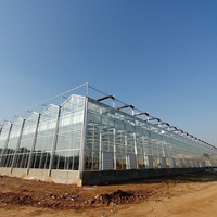 Serre en verre Venlo de 1000 m2 fabriquée en Chine, système hydroponique, serres agricoles en verre, ensemble complet à vendre