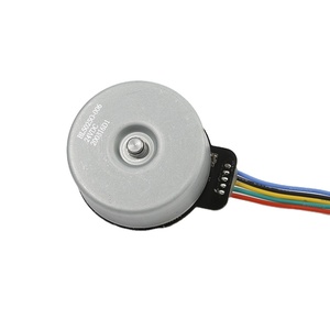 Mô-tơ DC không chổi than Bl50250-006 50mm cho súng massage - Product Image 1