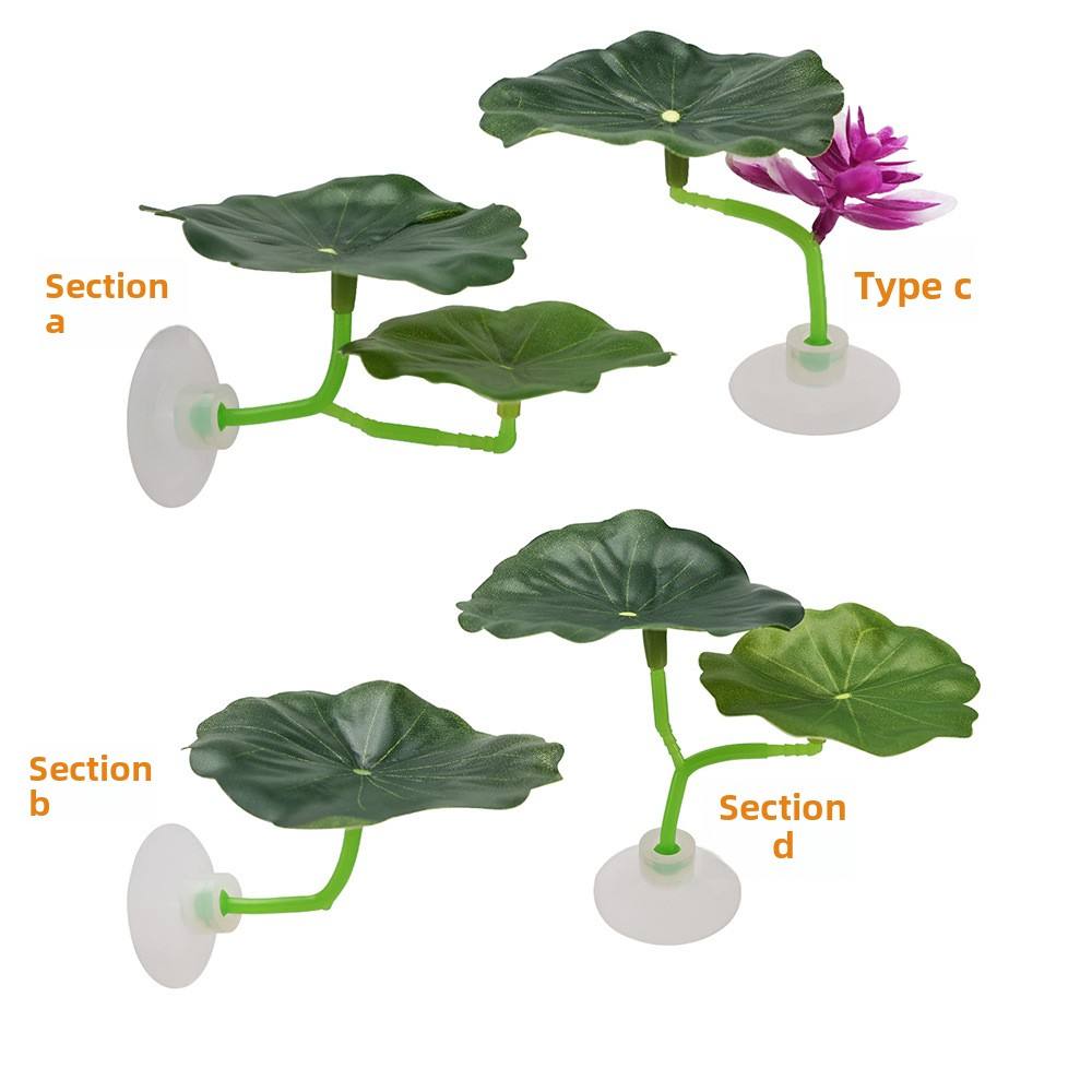 สีเขียว ABCD