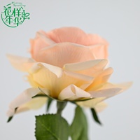 Roses artificielles au toucher réel pour la décoration de salon, table à manger, vase, centre de table de mariage, fête, cadeau de festival