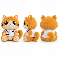 Peluche personnalisée de chat docteur avec blouse médicale, stéthoscope et queue bouclée, service de conception d'uniforme personnalisé
