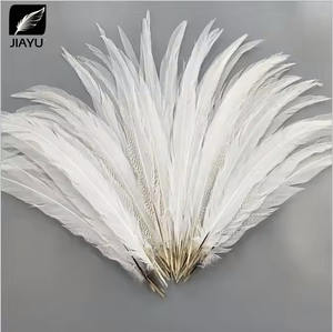 20-25cmシルバーキジの羽染めカラフルなシルバーキジの羽装飾用 - Product Image 3