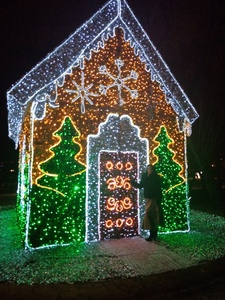 House Cluster Light with Cottage Design - IP65 Outdoor LED <b>String</b> Light for <b>Garden</b> Display - Product Image 1