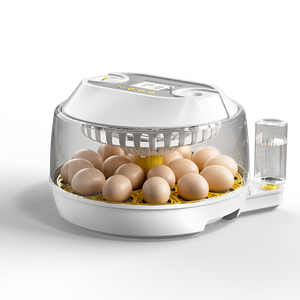 2026 कारखाने प्रत्यक्ष आपूर्ति नए डिजाइन 18 चिकन अंडे इनक्यूबेटर और 79 क्वेल अंडे इनक्यूबेटर डिजिटल तापमान नियंत्रण - Product Image 3