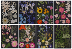 22-36 piezas/paquete flor prensada Asst. Bolsa para MARCO <span class=keywords><strong>DE</strong></span> ARTE Decoración del hogar Vela <span class=keywords><strong>de</strong></span> Arte <span class=keywords><strong>de</strong></span> resina - Product Image 4