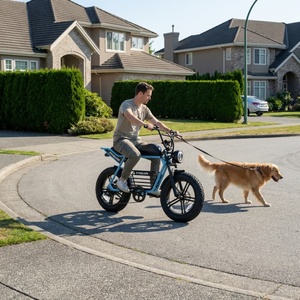 Schwarzes E-Bike mit hydraulischer Bremsunterstützung und 48V Lithium-Akku, Erwachsenen-Elektrofahrrad für Hundeausführungen im Vorort - Product Image 4