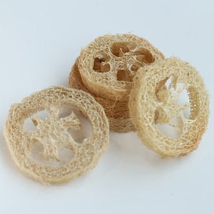 Bolas de Luffa Natural con Forma de Dibujos Animados para Mascotas, Mordedores para Limpiar los Dientes, Golosinas Masticables para Loros, Hámsteres, Gatos y Perros, de 4-8 cm - Product Image 6