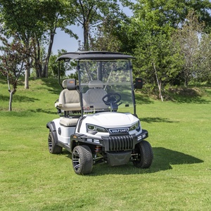 定制颜色 60V 2人座电动高尔夫球车 支持ODM OEM - Product Image 1