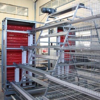 Nouvelle machine d'élevage de poulets entièrement automatique avec système d'alimentation, de collecte des œufs et d'élimination du fumier, construction en acier galvanisé