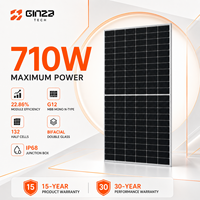 Panneaux solaires monocristallins N-Type bifaciaux à double vitrage 132 demi-cellules 710W pour projets commerciaux de systèmes solaires EPC