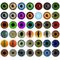 Oeil de poupée en verre 8-30mm pour enfant, jouet dinosaure, animal, décoration artistique, galets de verre