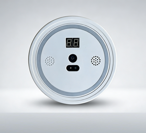 Sistema Intelligente Anti-tailgating, Ispezione di Sicurezza per il Passaggio al Cancello, Conteggio e Conformità. - Product Image 1