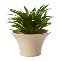 Pot de fleurs succulente Cactus de grande taille, plat coloré, style nordique, avec plateau