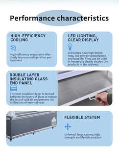 Equipo de refrigeración comercial de temperatura única Congelador de negocios de gran capacidad con escaparate de pantalla media de descongelación automática - Product Image 3