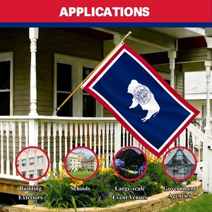 Drapeau de l'État du Wyoming sur mesure 3 x 5 pieds, drapeau national américain en polyester avec œillets en laiton, double couture pour événements extérieurs - Product Image 5