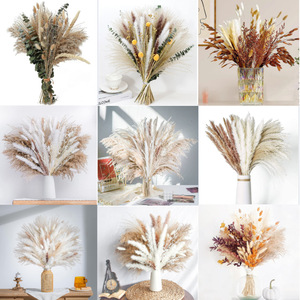 Fleurs séchées artisanales transfrontalières, décoration bohème en pampas, roseau DIY, herbe à queue de lapin, feuilles d'eucalyptus mélangées non teintes - Product Image 2