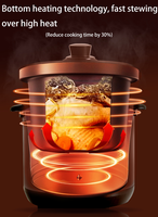 Marmite Électrique en Céramique Non Revêtue de 12 Litres pour la Restauration Commerciale, Idéale pour Soupes Nutritives et Congé, Appareil de Cuisson du Congé