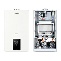 Chaudière murale à gaz OEM ODM 220V avec thermostat intelligent à température constante, vente en gros mondiale avec pièces de rechange complètes gratuites