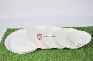 Petites soucoupes rondes pour pots de plantes hydroponiques, décoration intérieure/extérieure, plateau à fleurs pour la décoration de magasins, décoration de pièces, plante vivante - Product Image 2