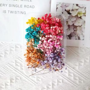 Boîte cadeau de carte de vœux avec fleurs de gypsophile éternelles, boîte d'emballage, fleurs décoratives, fleurs séchées, matériel de bricolage pour gypsophile - Product Image 3