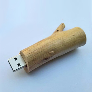 <span class=keywords><strong>Twig</strong></span> Shape Gỗ 2.0 <span class=keywords><strong>Usb</strong></span> Flash Drives Thumb Pendrive 4GB 8GB 16GB 32GB 64GB Dây Buộc Bằng Gỗ <span class=keywords><strong>USB</strong></span> Ổ Đĩa - Product Image 1