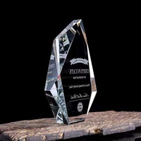 Trophée personnalisé en verre cristal gravé, impression numérique, souvenirs sportifs écologiques, plaque de récompense pour médaille sur mesure