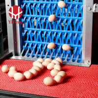Système de cages en batterie automatique de type H, avec courroie de fumier, convoyeur à œufs et abreuvoir à tétine, pour élevage de poulets OEM