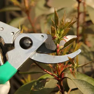 Ciseaux de jardin faciles à utiliser Ciseaux de pelouse Bypass Ciseaux de branches en pot d'élagage manuel Sécateur de jardin pour jardin