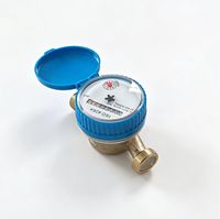 DN15 Brass Body Mechanical Single Jet Dry Dial Hot/Cold Water Meter for Domestic Use