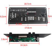 Amplificateur de puissance économique personnalisé de type E5-C 5V, mini amplificateur portable pour la maison avec option audio FM BT, karaoké, musique USB