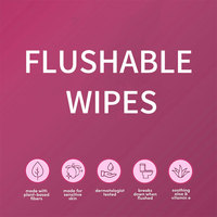 Lingettes d'hygiène féminine individuelles biodégradables à 100 % à l'acide borique, parfum lavande, jetables dans les toilettes, pour femmes