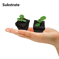 Éponges de culture Éponges d'hydroponie équilibrées Fabriquées à partir de fibres de coco écologiques Éponge de culture pour semis
