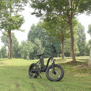 Neue beliebte 20 "faltbare fette Reifen Ebike 500w elektrische Frauen City Bike mit 10ah Lithium-Batterie gefaltet