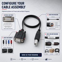Cable de Interfaz Serial RS232 Personalizado, DB9 Hembra a USB 2.0 Tipo B Macho, para Equipos de Prueba de Controladores Industriales