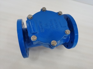 Dn100pn10 डबल फ्लैंज रबर बैठे स्विंग चेक वाल्व - Product Image 4