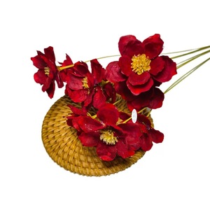 Venta al por mayor de flores secas naturales de <span class=keywords><strong>Campanula</strong></span> plantas de madera hechas a mano para la decoración del hogar y aromaterapia para graduación y Pascua - Product Image 4