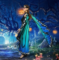 Châle double face arc-en-ciel pour femme, ailes de papillon, accessoires de costume de danse féerique, cape de papillon monarque pour adulte