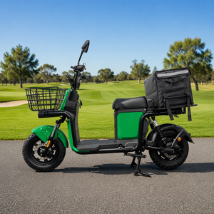 Scooter de livraison de nourriture à pédale personnalisable de 1500 W de haute qualité avec boîte arrière gratuite - Product Image 1