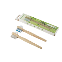 Brosse à prothèses dentaires vert menthe européen avec nylon et bambou pour le nettoyage quotidien des dents artificielles, poignée ergonomique, élimine les germes, vente en gros