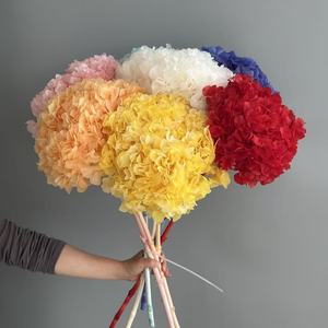 Fleurs éternelles en gros : Grandes hortensias colorées naturelles séchées pour la décoration de vases, d'hôtels et de fêtes - Product Image 3