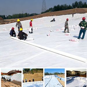 Tissu géotextile en polyester blanc non tissé 300g 500g M2 - Product Image 4