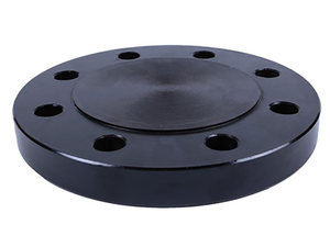 หน้าแปลนสเตนเลส C-Way ขนาด 1 นิ้ว CF8M Class 150 แบบ Lap Joint พร้อมการเคลือบผิว RF สำหรับการบำบัดน้ำ - Product Image 6