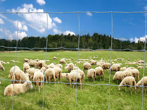 Kawat baja karbon galvanis tahan lama, pagar pertanian jaring untuk perlindungan pasure pagar anggrek pagar pagar peternakan - Product Image 3