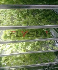 Promotion : Four de séchage pour kiwis, Machine de déshydratation de kiwis - Product Image 3