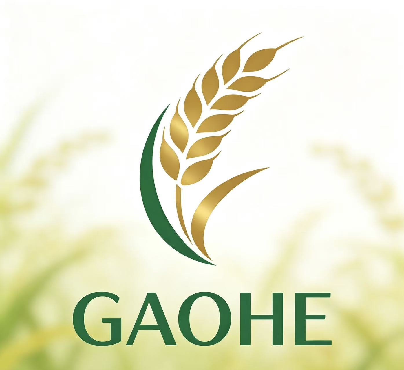 Dongguan Gaohe Packaging Co., Ltd. logo