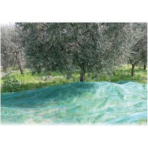 Filet de récolte 'ANTISPINE' CARDINALE OLIVE, feuille de 8x8 m - Product Image 3