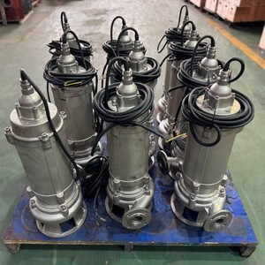 Bombas Sumergibles de 7.5 Kilovatios, de 4 y 6 Pulgadas, para Riego Agrícola y Dragado de Ríos - Product Image 3