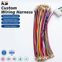 Kabel Harness Elektronik PVC Berkualitas Tinggi Custom JST SH GH ZH PH XH Molex Pitch 0.8-2.54mm 1-40 Pin untuk Peralatan Rumah Tangga dan Mesin